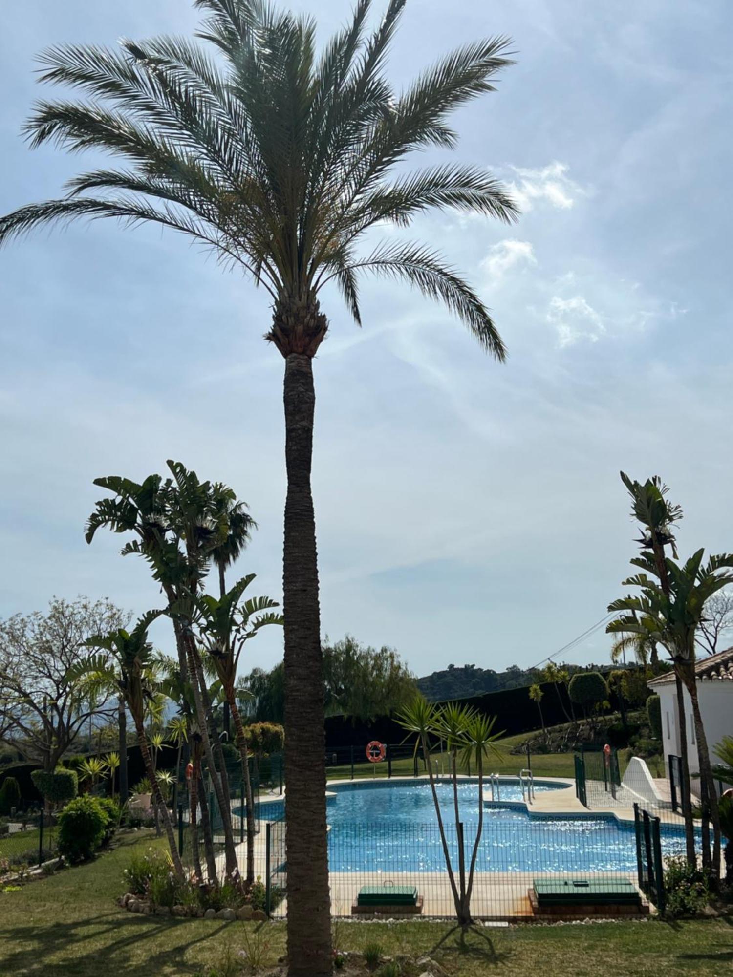 Finca San Antonio Two Bedroom Apartment With Swimming Pool 米哈斯 外观 照片